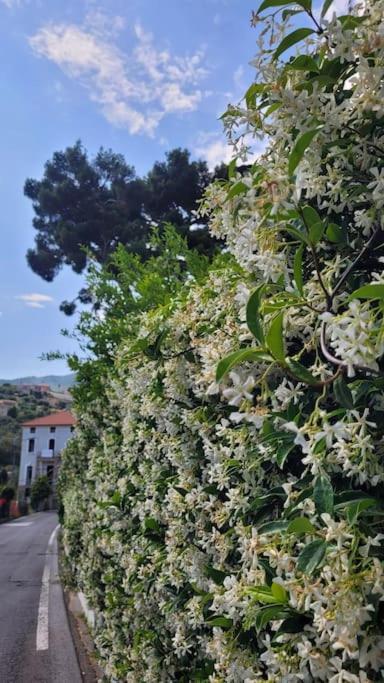 Appartamento Vista Bella House Sanremo Esterno foto